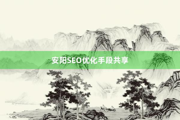 安阳SEO优化手段共享